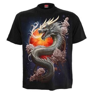 Spiral Unisex Adult Sun Dragon T-Shirt / Black
